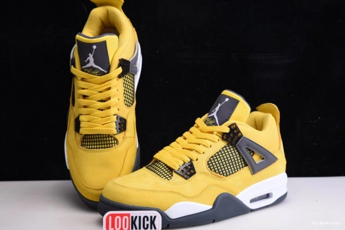 Air Jordan CT8527-700 Lightning Retro 4 1005